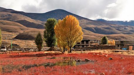 Daocheng in late autumn wallpaper