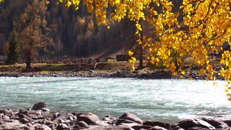 Hemu River wallpaper