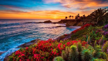 Tropical beach wallpaper