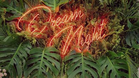 "Dream night" neon sign wallpaper