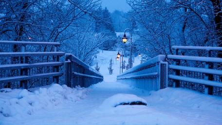 Winter Wonderland in Blue Shades wallpaper