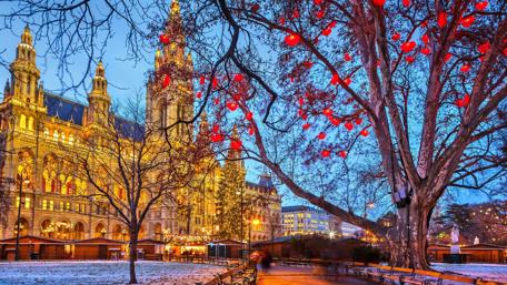 Vienna Christmas Market wallpaper