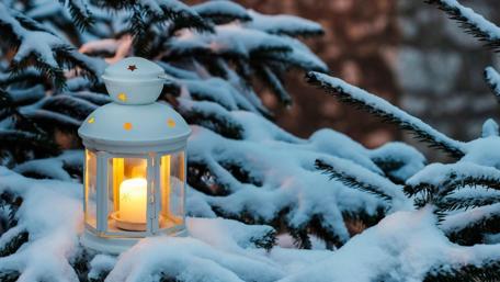 Winter Glow Festive Lantern in Snowy Pines wallpaper