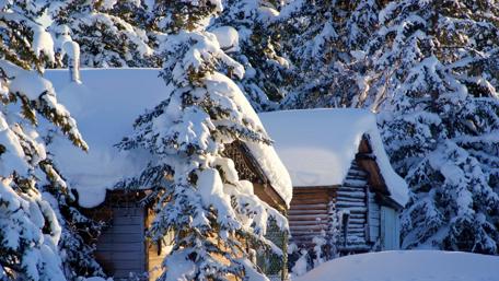 Charming Winter Retreat in a Snowy Forest wallpaper