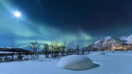 Winter night wallpaper