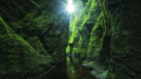 Enchanted Mossy Ravine in Scotland's Finnich Glen wallpaper