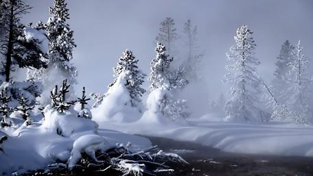 Misty winter wallpaper