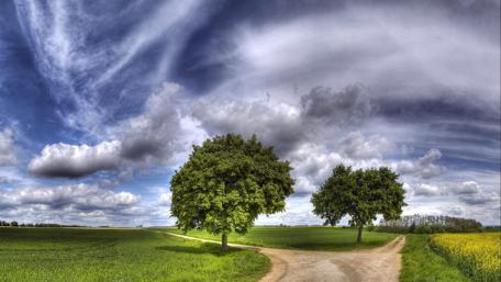Junction in the field wallpaper