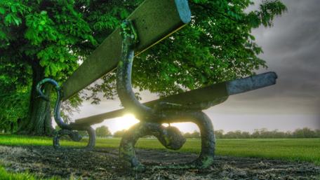 Green park with a bench wallpaper