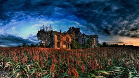 Haunted house wallpaper