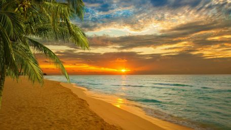 Sunset in the paradise wallpaper