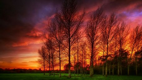 Red sky in the sunset wallpaper