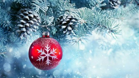 Festive Bauble Among Frosted Fir Branches wallpaper