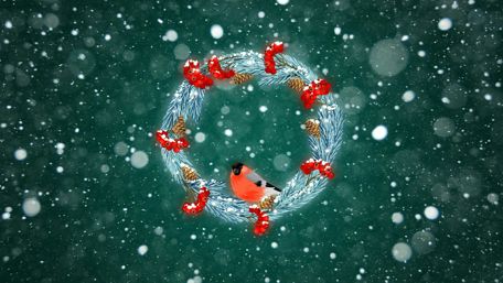 Christmas Wreaths wallpaper