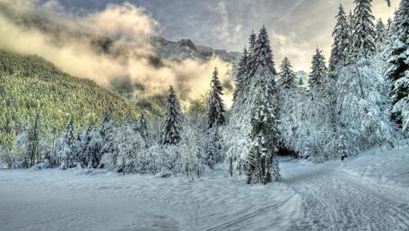 Snowy path in the morning sunlight wallpaper