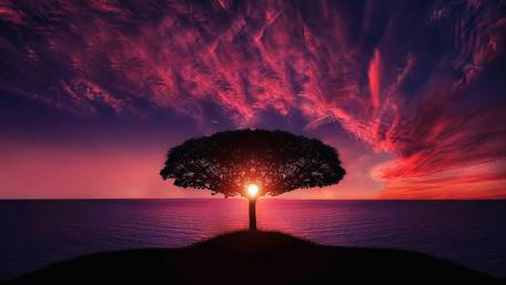 Space Tree wallpaper