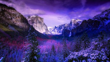 Winter Tunnel View wallpaper