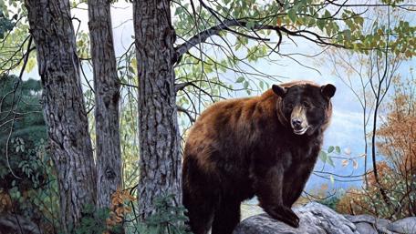 Bear in the forest - Painting art wallpaper