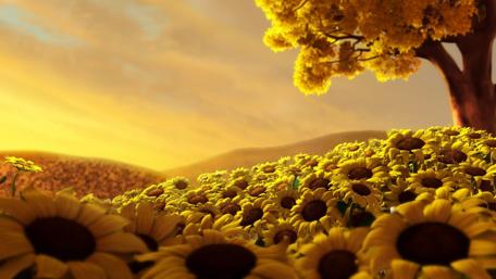Sunflower field wallpaper