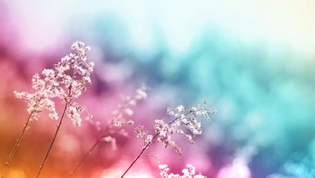 Splash of colors wallpaper