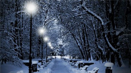 Streetlights in the winter park wallpaper
