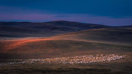 Gong Geer Grassland (Keshiketeng Qi, China) wallpaper