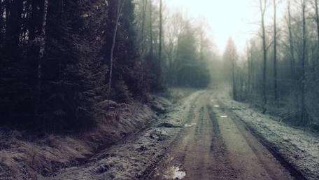 Dirt road wallpaper