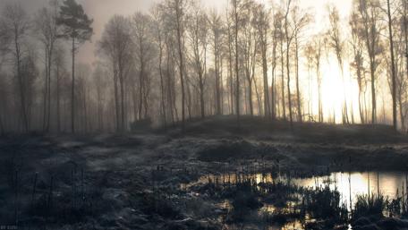 Misty swamp in winter wallpaper