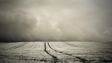 Dark field in the storm wallpaper