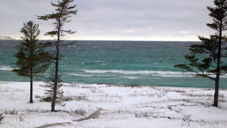 Winter Shoreline with Turquoise Waves and Snowy Trees wallpaper