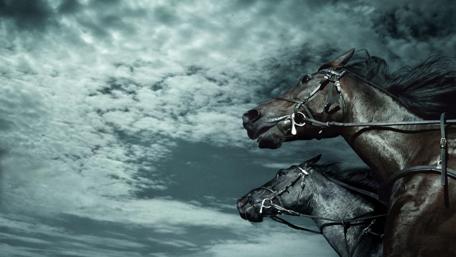 Graceful Majesty Under a Vast Sky wallpaper