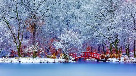 Red bridge wallpaper