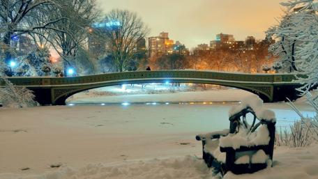 Central Park in winter wallpaper
