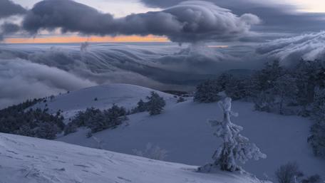 Winter dusk wallpaper