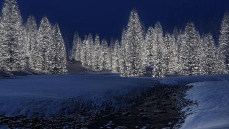 Christmas lights ✨ wallpaper