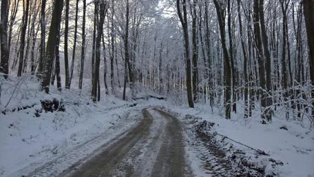 Beautiful winter wallpaper