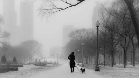 Winter dog walking wallpaper