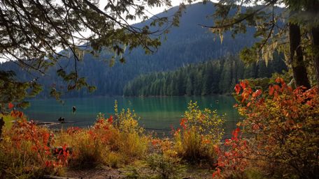 Fall colors in Canada wallpaper