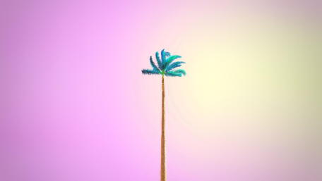 Candy Minimal wallpaper