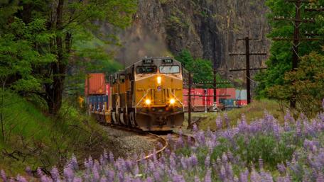 Trains Journeying Through Vibrant Landscapes wallpaper