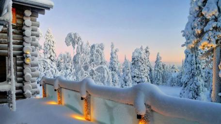 Winter Wonderland Retreat Amidst Snowy Pines wallpaper