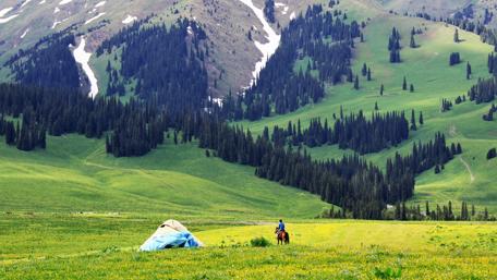 Sky steppe - Nalati Grassland wallpaper