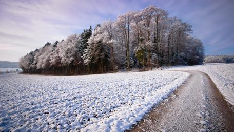 Winter road wallpaper