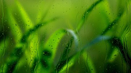 Waterdrops on the glass wallpaper
