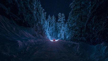 Winter forest road wallpaper