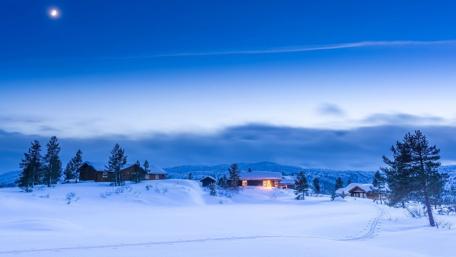 Serene Winter Village Under a Blue Moonlight wallpaper