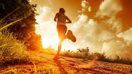 Sunlit Running Path in Nature wallpaper