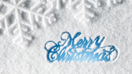 Winter Wonderland Greeting Card wallpaper