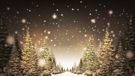 Winter Night Enchanted Forest Scene wallpaper