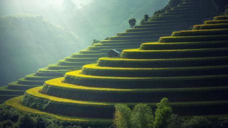 Yuanyang Terraces wallpaper